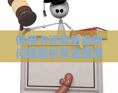信用卡还款后退款问题解析及逾期原因探讨