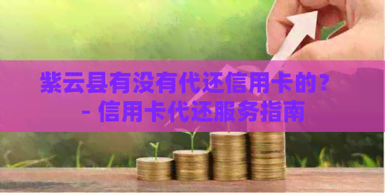 紫云县有没有代还信用卡的？ - 信用卡代还服务指南