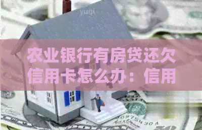 农业银行有房贷还欠信用卡怎么办:信用贷款额度、申请条件解答 农业银行有房贷还欠信用卡怎么办:信用贷款额度、申请条件解答