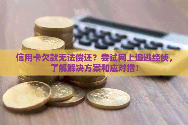 信用卡欠款无法偿还？尝试网上追逃经侦，了解解决方案和应对措！
