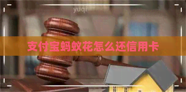支付宝蚂蚁花怎么还信用卡