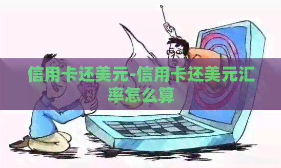 信用卡还美元-信用卡还美元汇率怎么算