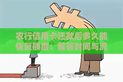 农行信用卡还款后多久能恢复额度：解答时间与流程揭秘