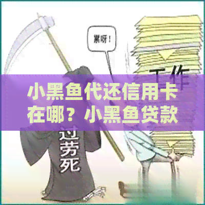 小黑鱼代还信用卡在哪？小黑鱼贷款入口也一并告知！