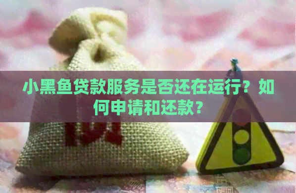 小黑鱼贷款服务是否还在运行？如何申请和还款？