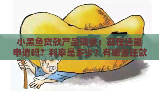 小黑鱼贷款产品现状：现在还能申请吗？利率是多少？有哪些还款方式？
