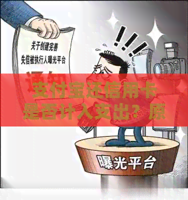 支付宝还信用卡是否计入支出？原因何在？