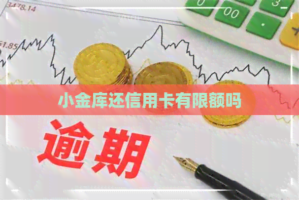 小金库还信用卡有限额吗