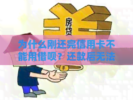为什么刚还完信用卡不能用网贷？还款后无法使用网贷的原因解析
