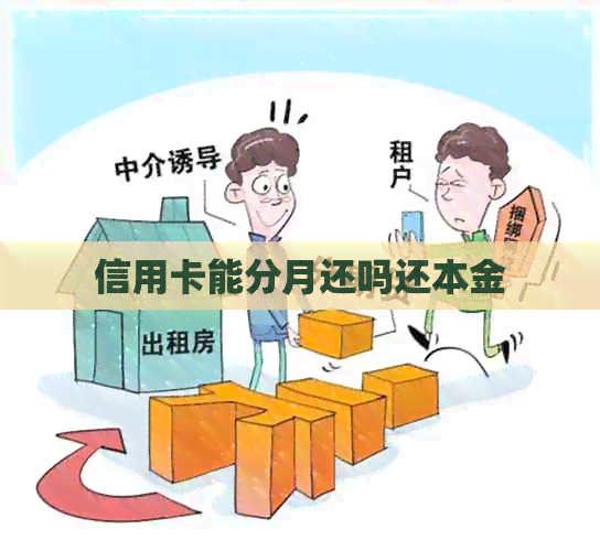 信用卡能分月还吗还本金