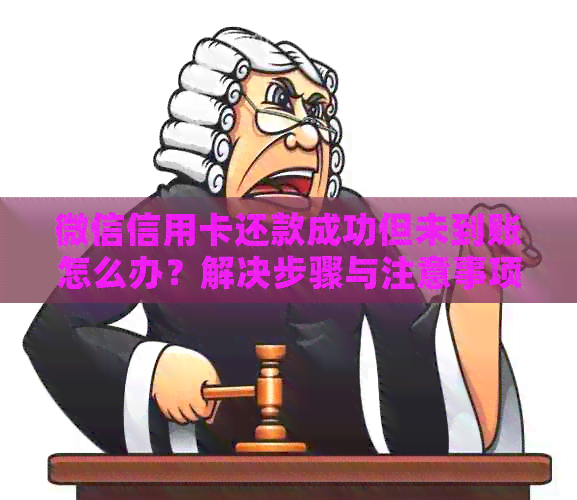 微信信用卡还款成功但未到账怎么办？解决步骤与注意事项一览