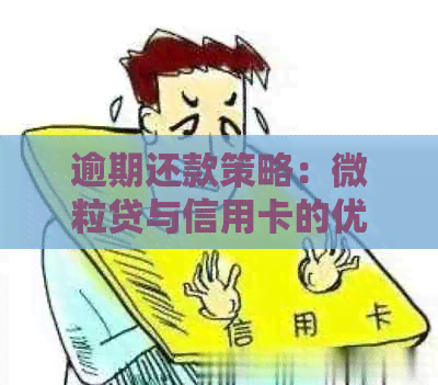 逾期还款策略：微粒贷与信用卡的优先级比较