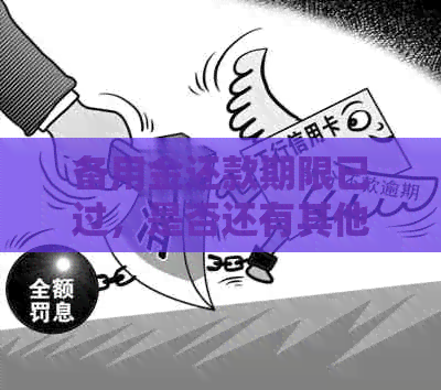 备用金还款期限已过，是否还有其他还款方式？