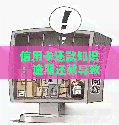 信用卡还款知识：逾期还款导致债务累积的真相