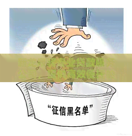 新龙泉驿专业贷款服务公司，提供高效便捷的贷款解决方案