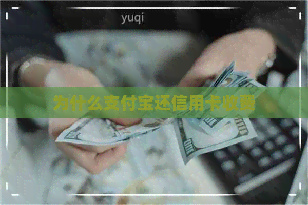 为什么支付宝还信用卡收费