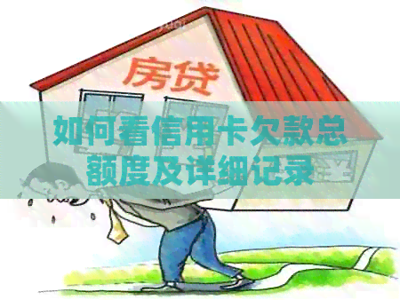 如何看信用卡欠款总额度及详细记录