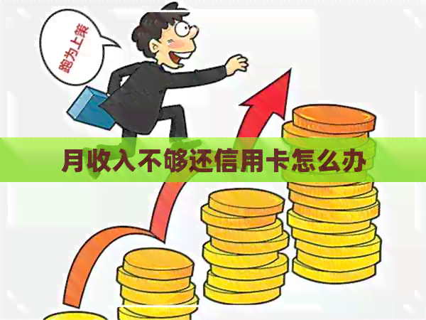 月收入不够还信用卡怎么办