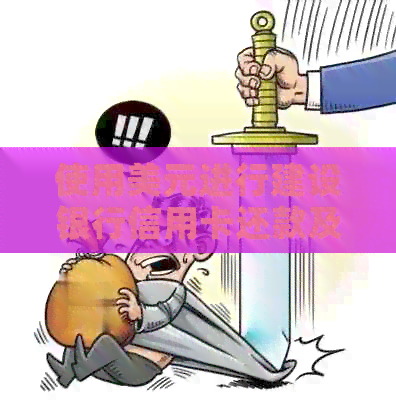 使用美元进行建设银行信用卡还款及消费的相关问题解答