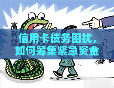 信用卡债务困扰，如何筹集紧急资金还款？