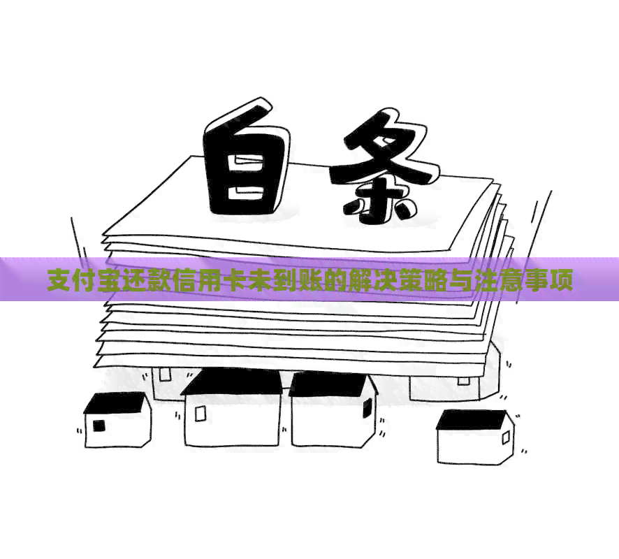 支付宝还款信用卡未到账的解决策略与注意事项