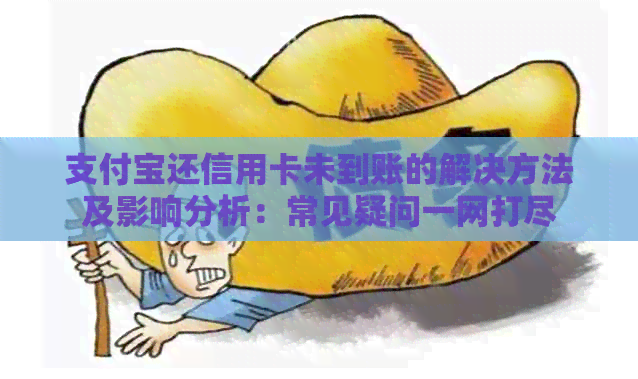 支付宝还信用卡未到账的解决方法及影响分析：常见疑问一网打尽