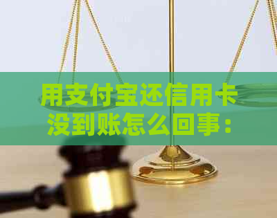 用支付宝还信用卡没到账怎么回事：解决方法与原因解析