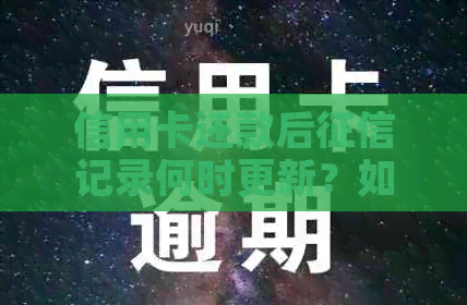 信用卡还款后记录何时更新？如何查询信用报告及注意事项