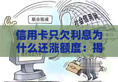 信用卡只欠利息为什么还涨额度：揭秘信用卡债务管理奥秘