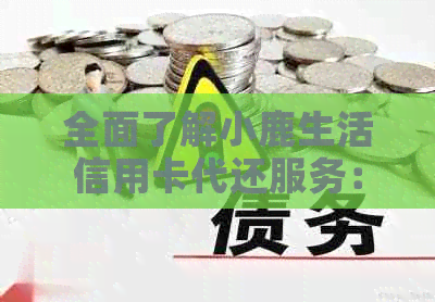 全面了解小鹿生活信用卡代还服务：安全性、费用、流程及评价，看是否适合您