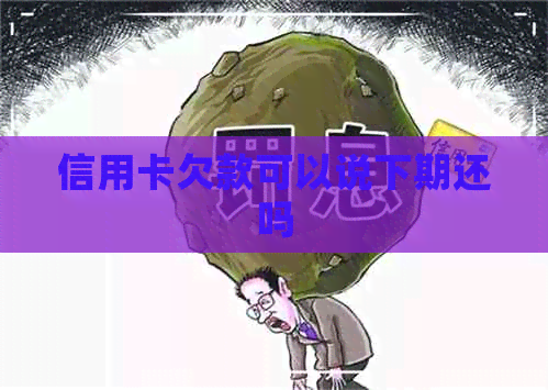 信用卡欠款可以说下期还吗