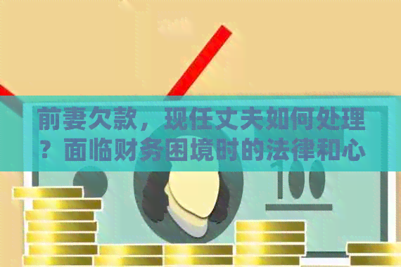 前妻欠款，现任丈夫如何处理？面临财务困境时的法律和心理建议