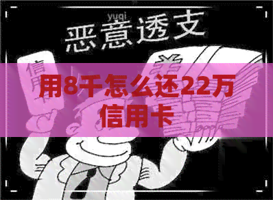 用8千怎么还22万信用卡