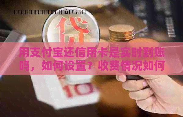用支付宝还信用卡是实时到账吗，如何设置？收费情况如何？