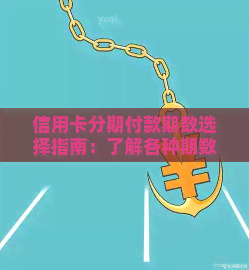 信用卡分期付款期数选择指南：了解各种期数及其特点，帮助您做出决策