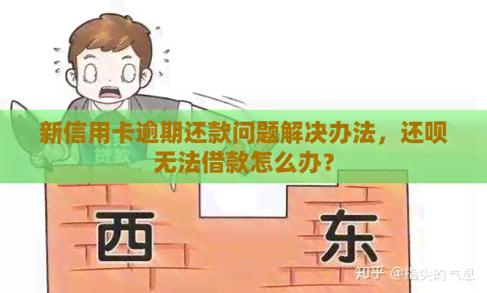 新信用卡逾期还款问题解决办法，还款无法借款怎么办？