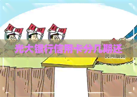 光大银行信用卡分几期还