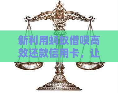 新利用蚂蚁网贷高效还款信用卡，让财务更轻松