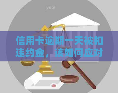 信用卡逾期一天被扣违约金，该如何应对？