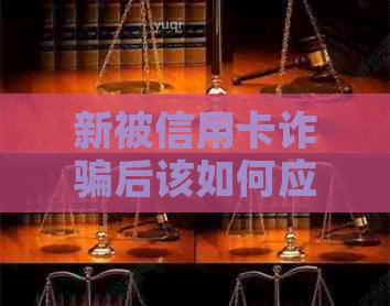 新被信用卡诈骗后该如何应对？如何维护自身权益？