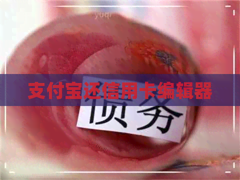 支付宝还信用卡编辑器