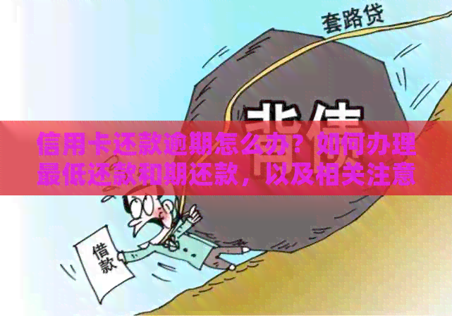 信用卡还款逾期怎么办？如何办理更低还款和期还款，以及相关注意事项一览