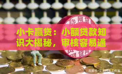 小卡赢贷：小额贷款知识大揭秘，审核容易通过吗？