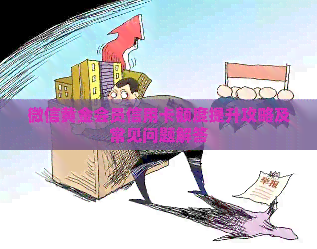 微信黄金会员信用卡额度提升攻略及常见问题解答