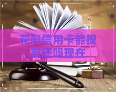 信用卡信用卡能提前还吗现在