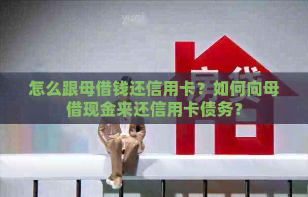 怎么跟母借钱还信用卡？如何向母借现金来还信用卡债务？