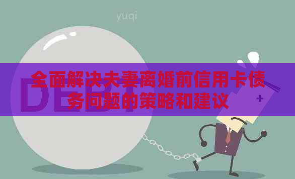 全面解决夫妻离婚前信用卡债务问题的策略和建议