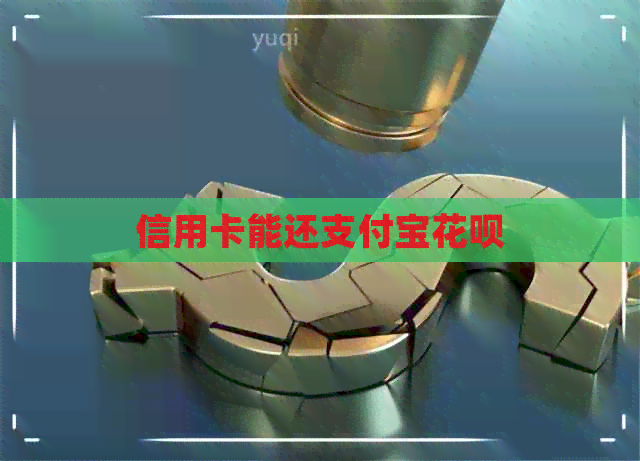 信用卡能还支付宝信用卡
