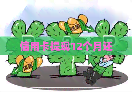 信用卡提现12个月还