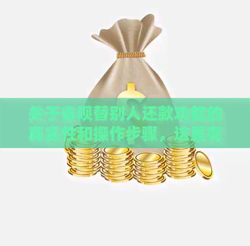 关于省呗替别人还款功能的真实性和操作步骤，这里有全面的解答和教程
